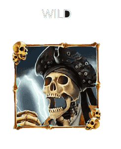 wild pirate king