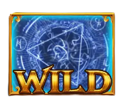 wild symbol