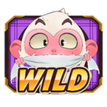 สัญลักษณ์ Wild