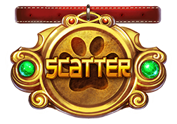 สัญลักษณ์ scatter