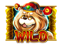 สัญลักษณ์ wild