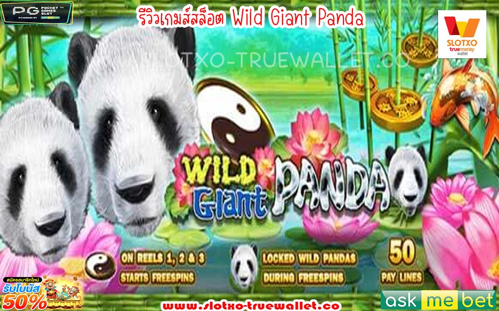 Wild Giant Panda