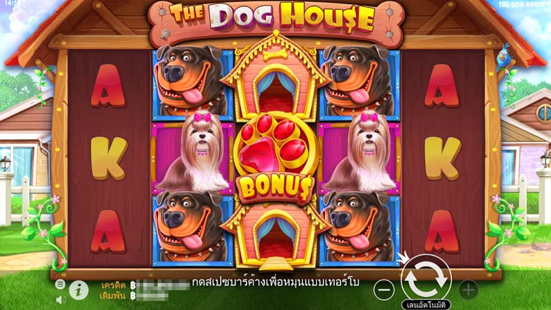 รูปแบบภายในเกม