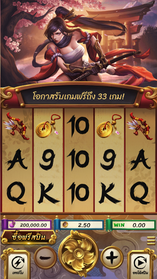 รูปแบบภายในเกม