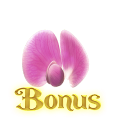 สัญลักษณ์-Bonus