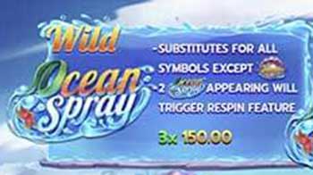 Ocean-Spray-Wild[1]