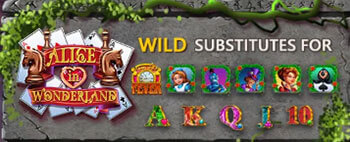 สัญลักษณ์ Wild