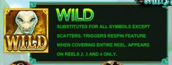 สัญลักษณ์ Wild